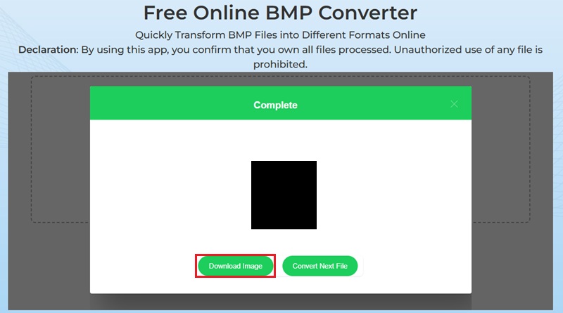 convert and download