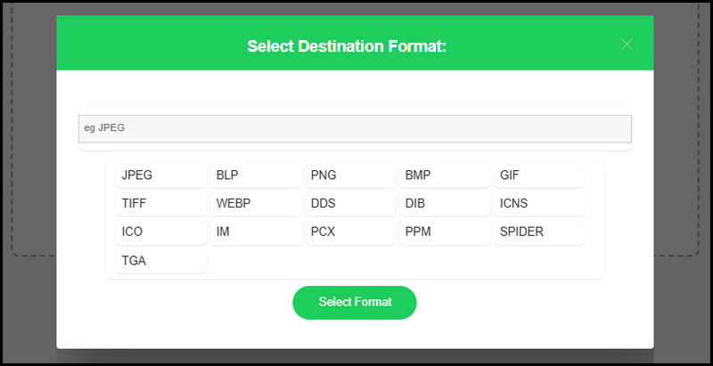 choose output format