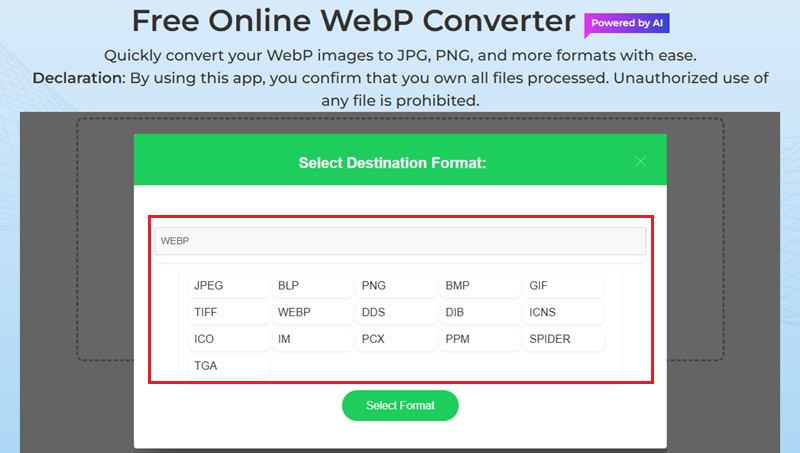select image format