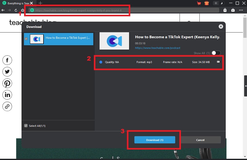 paste the link, choose quality, and click download button