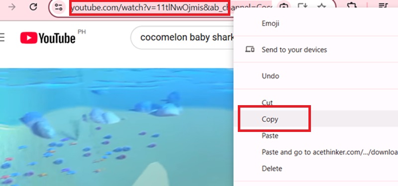 copy url from youtube