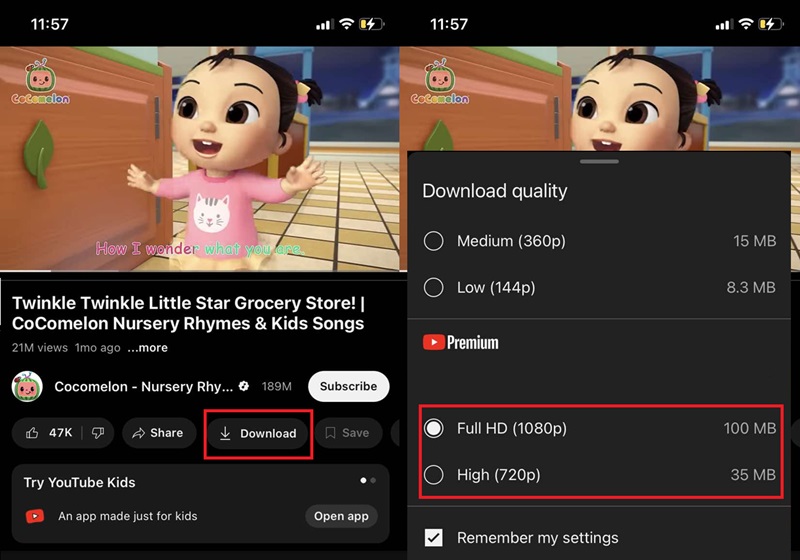 youtube premium ios